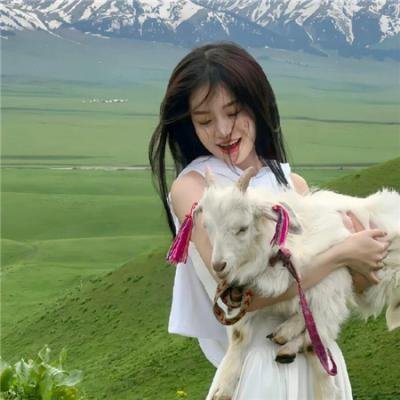 谁来当晚餐